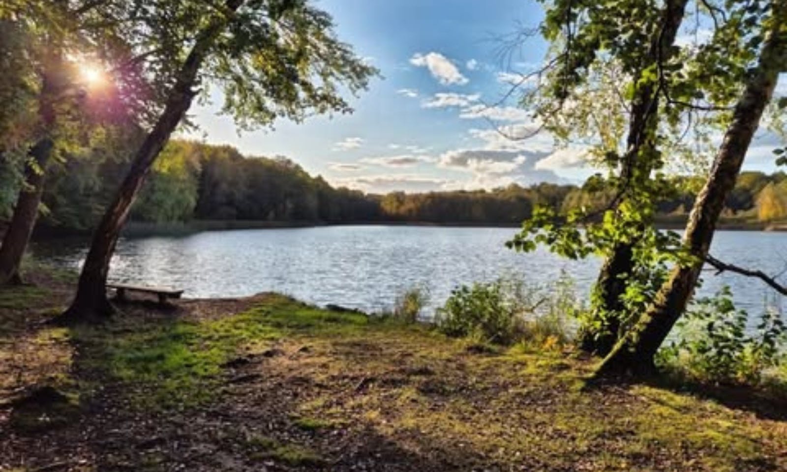 Blick auf den Priorteich bei Walkenried im Südharz