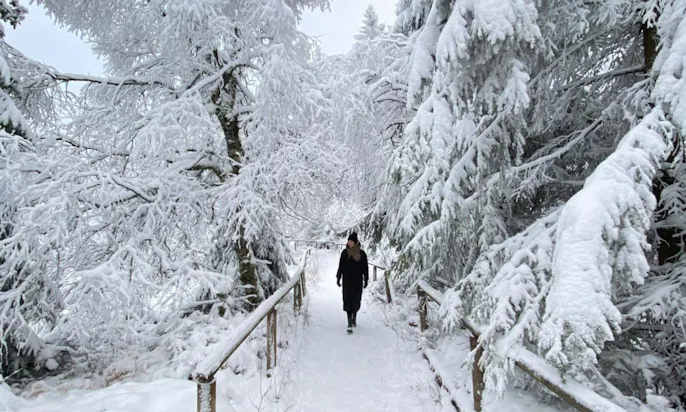 Schneebedeckter Weg am Goetheweg