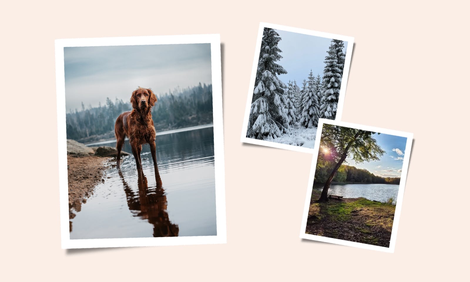 Collage über Seelenorte im Harz