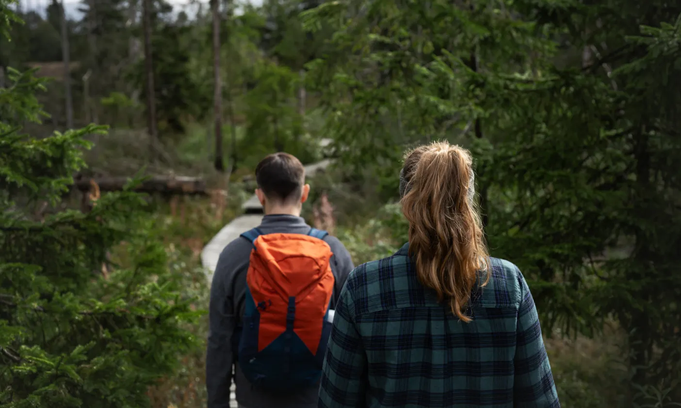 Zwei Wanderer im Harz