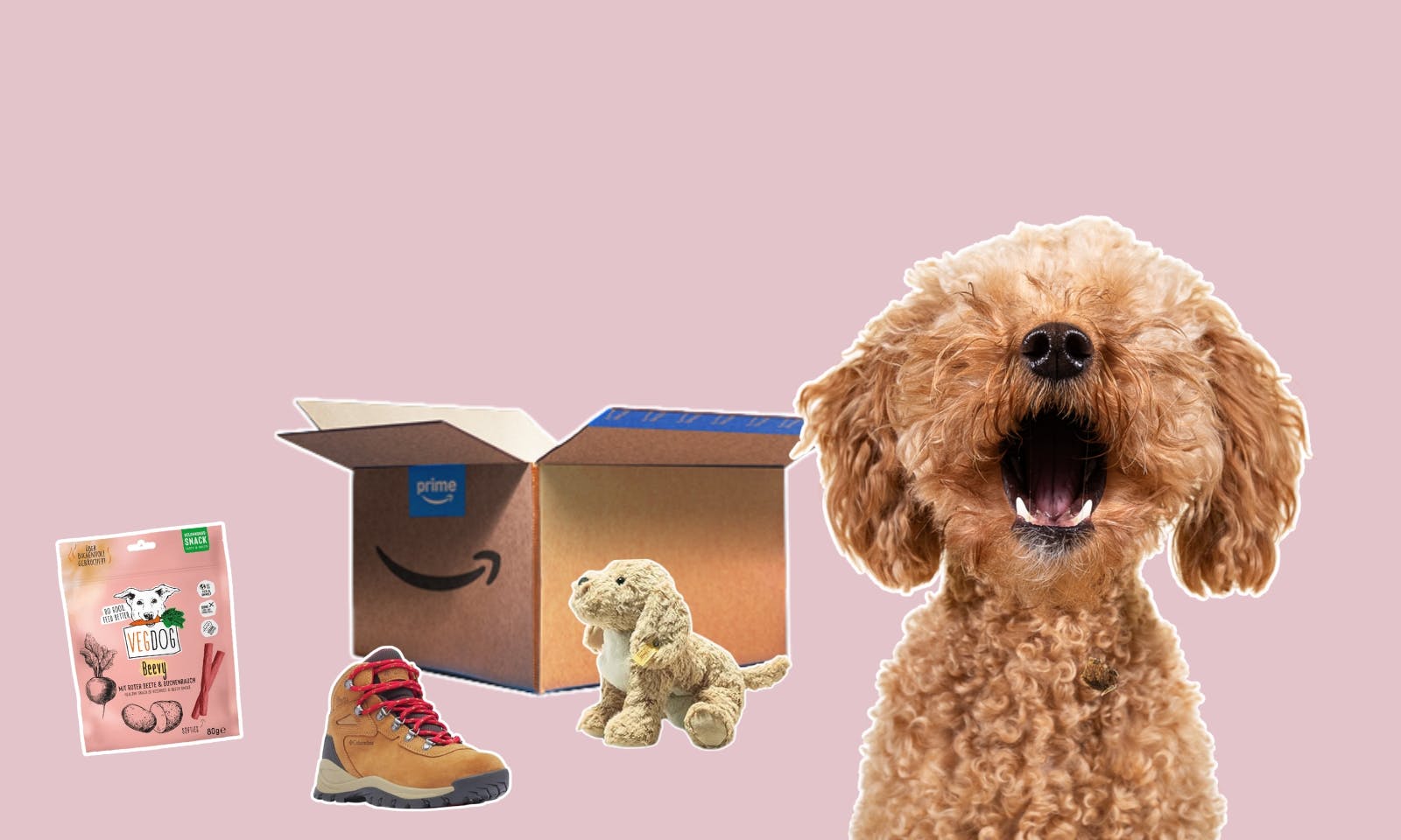 Ein Hund mit Amazon Produkten