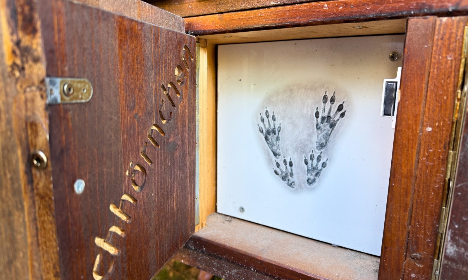 Infotafel, die Tierspuren zeigt