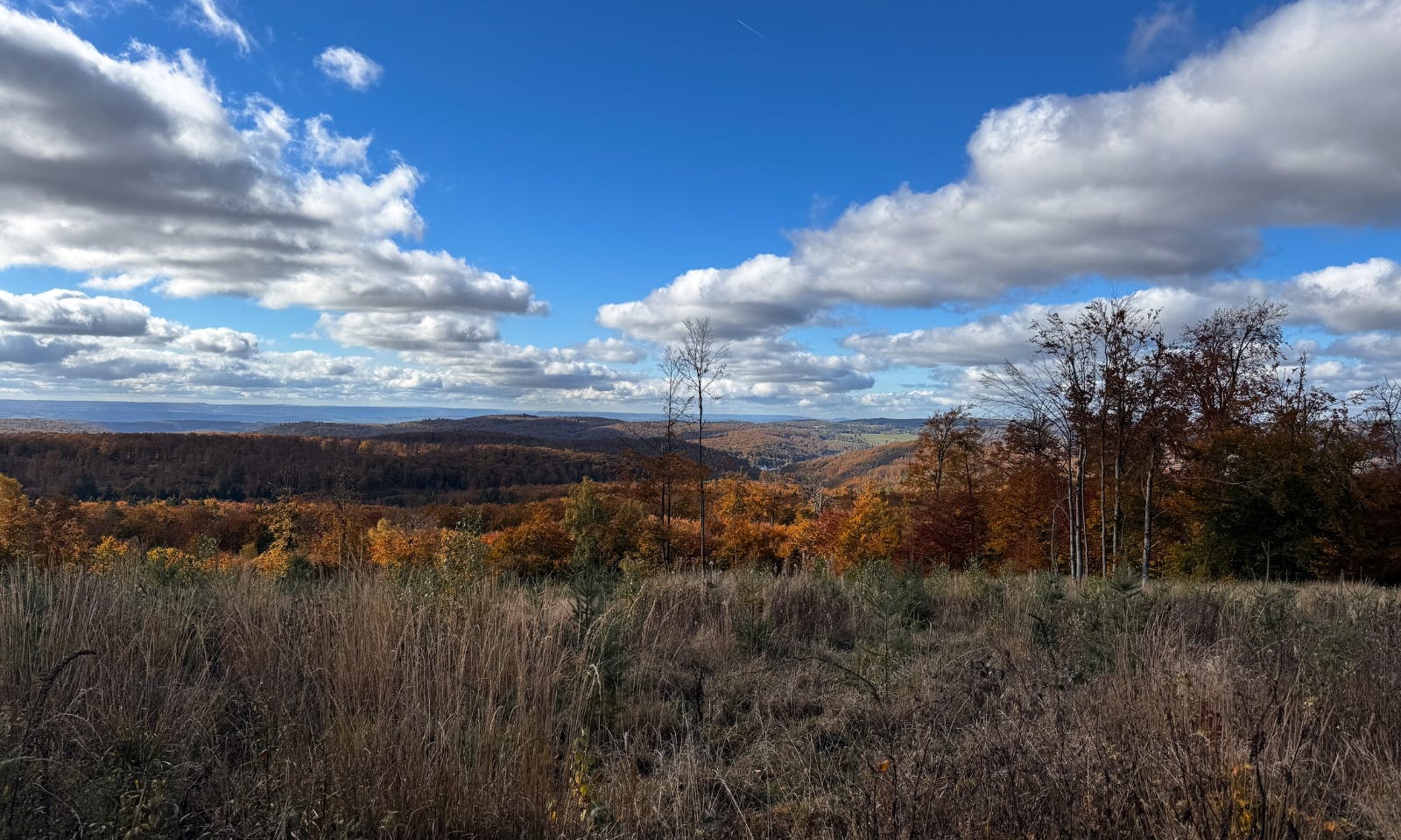 Blick auf die Landschaft im Südharz