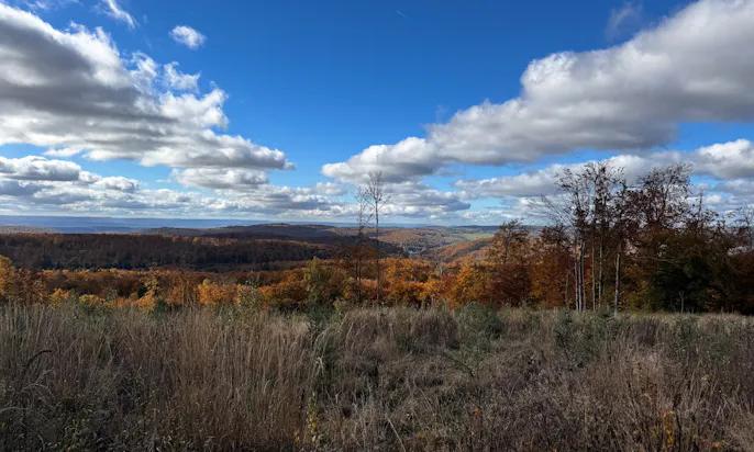Panorama-Blick auf den Südharz
