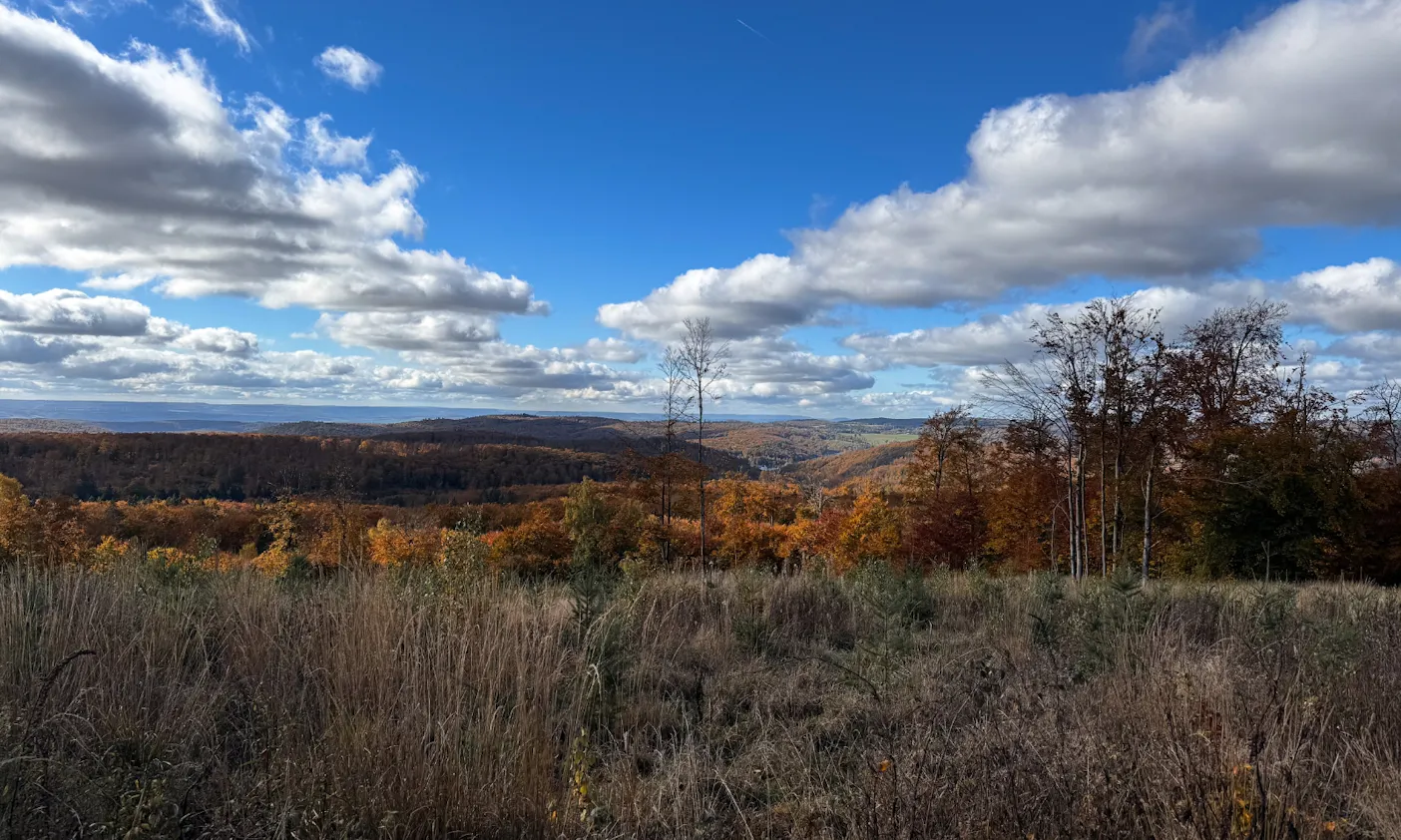 Blick auf die Landschaft im Südharz