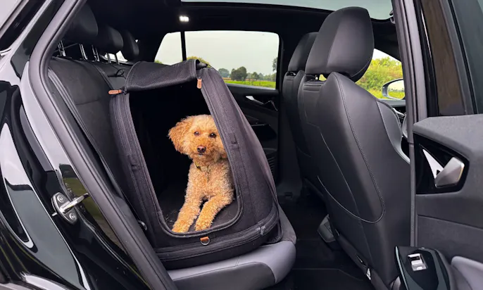 Die Tavo Crispin Hundebox mit einem auf der Rückbank eines Autos