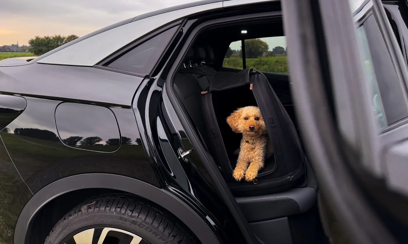 Hundebox im VW ID.5