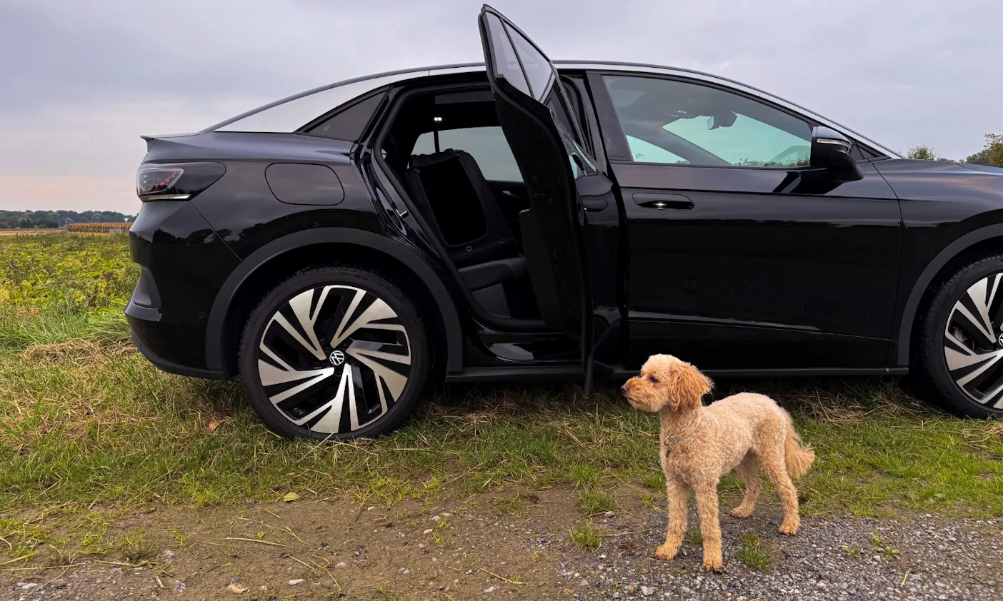 Ein Hund steht vor einem VW ID.5 mit der Tavo Crispin Hundebox auf der Rückbank
