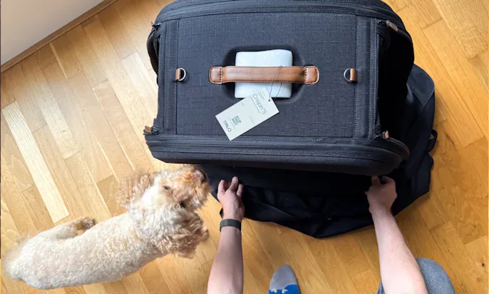 Tavo Crispin Hundebox von open mit einem Hund
