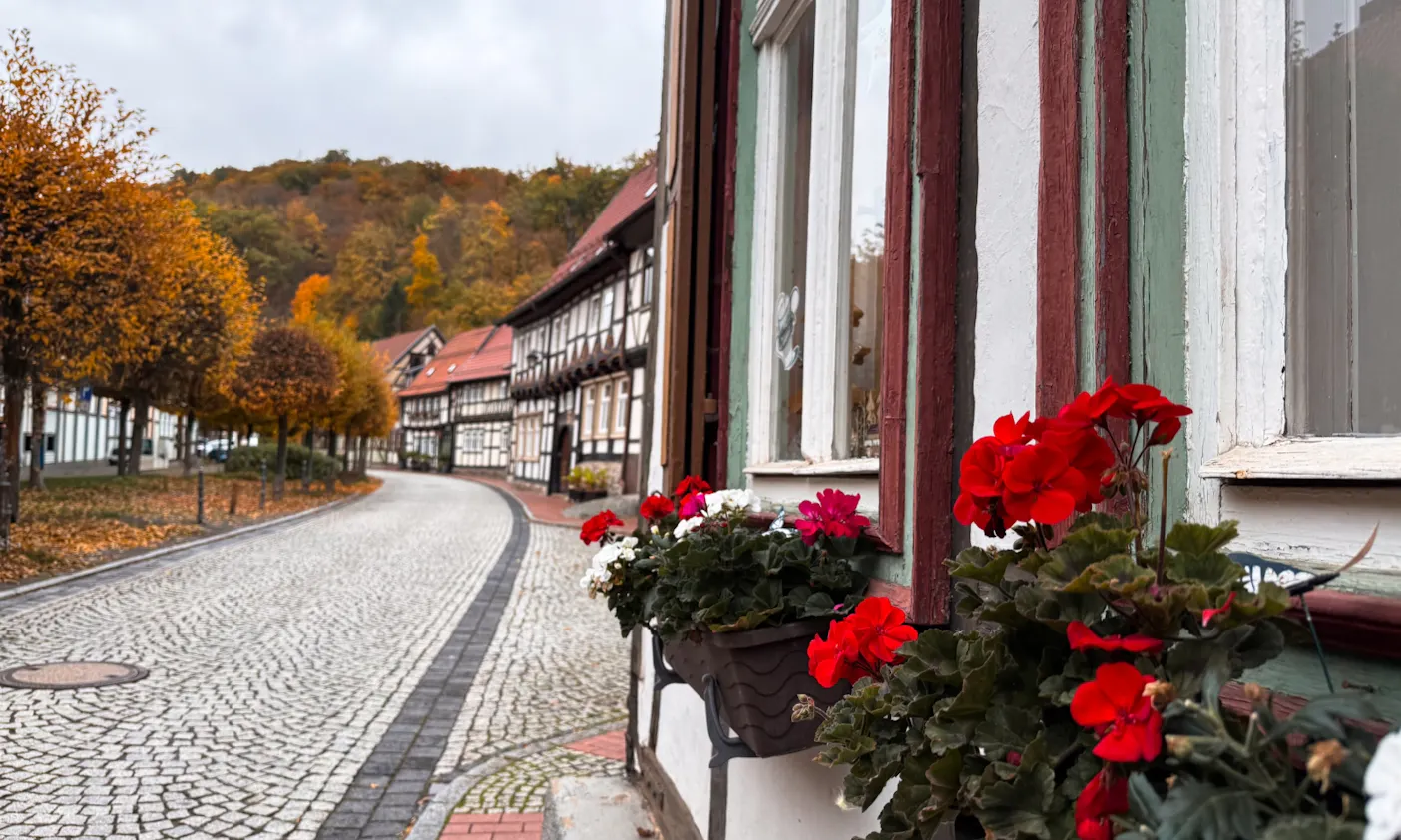 Fachwerkhaus mit Blumen in Stolberg im Südharz