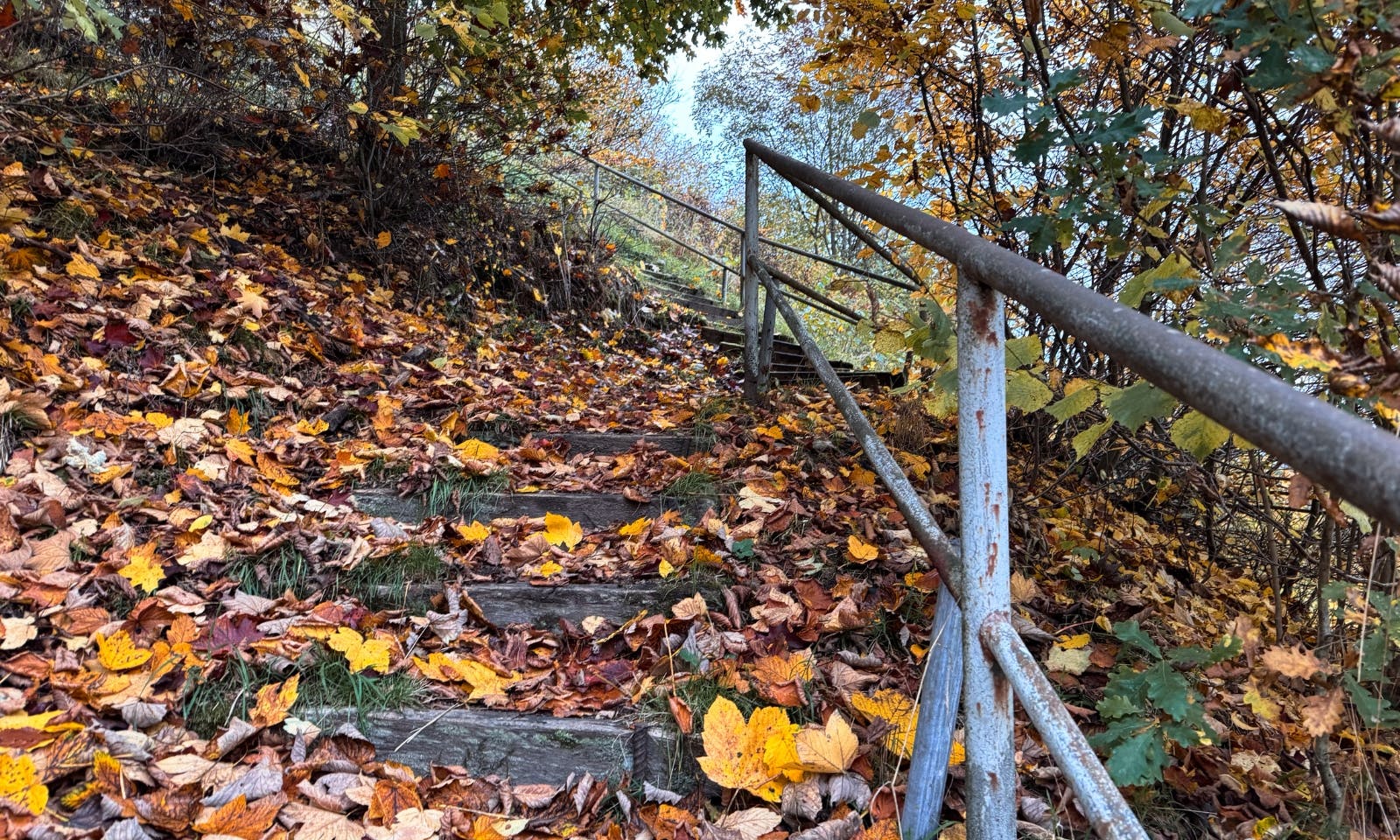 Treppe mit Geländer auf dem Wanderweg nach Stolberg im Harz
