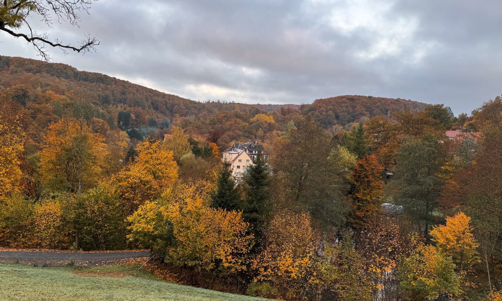 Blick auf einen Laubwald in der Nähe von Stolbelrg im Harz