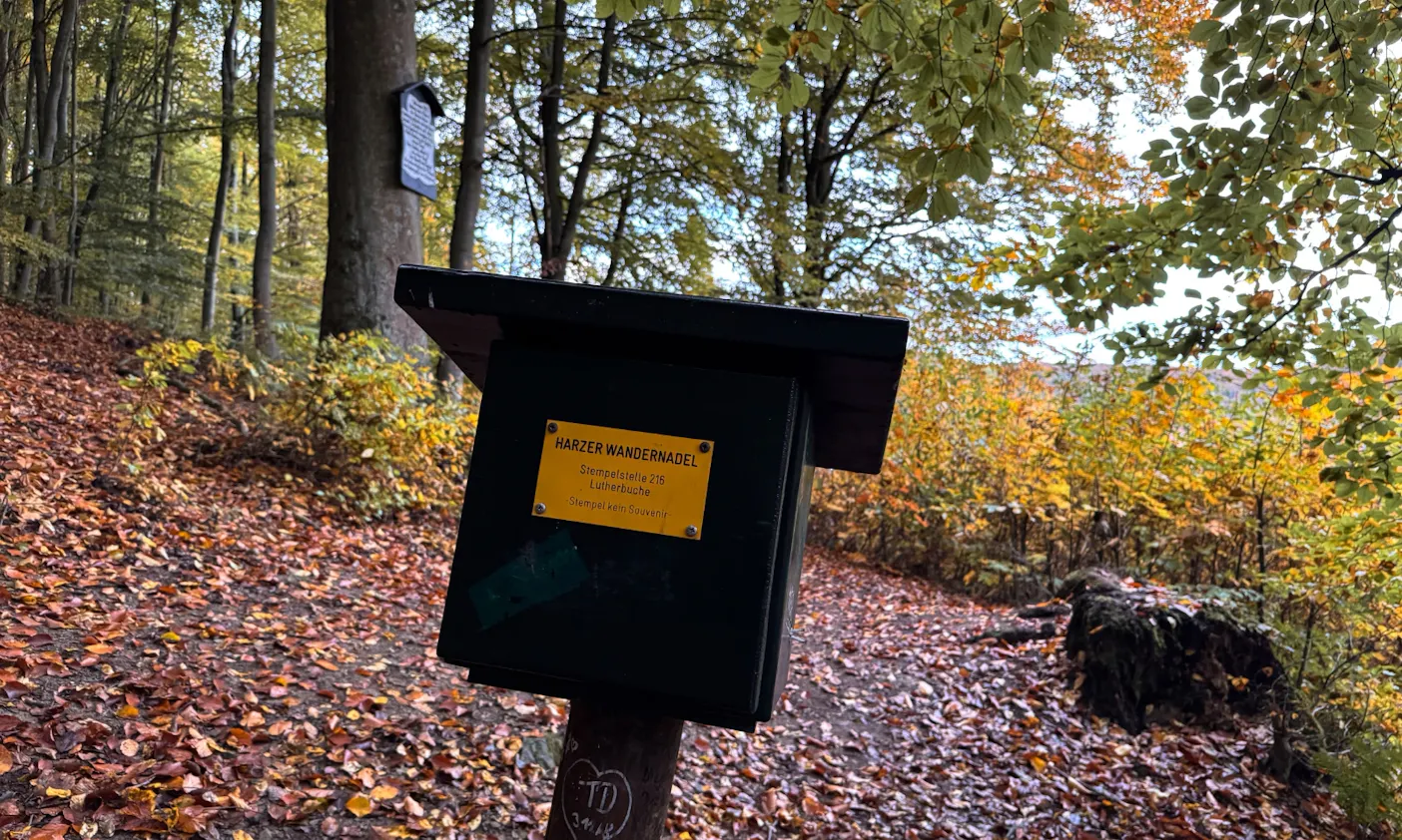 Stempelstelle 216: Lutherbuche