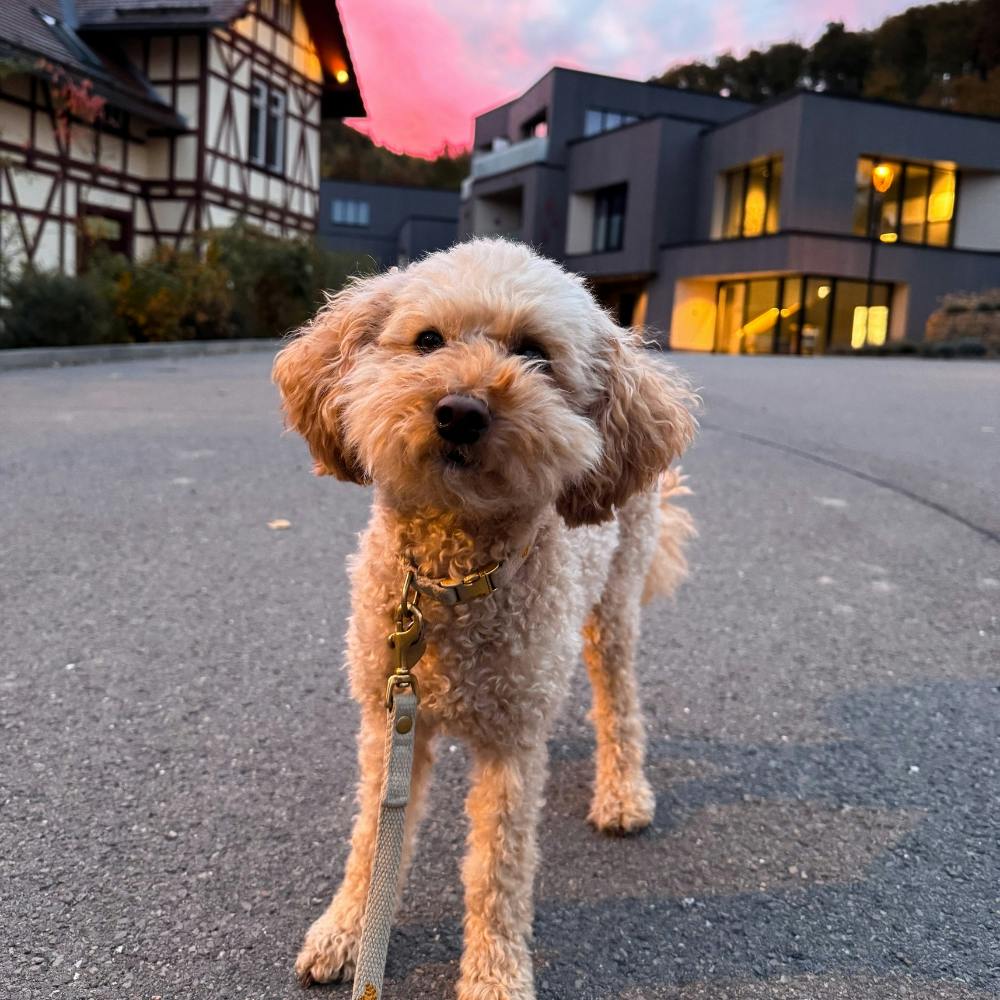 Hotel & Spa Suiten FreiWerk