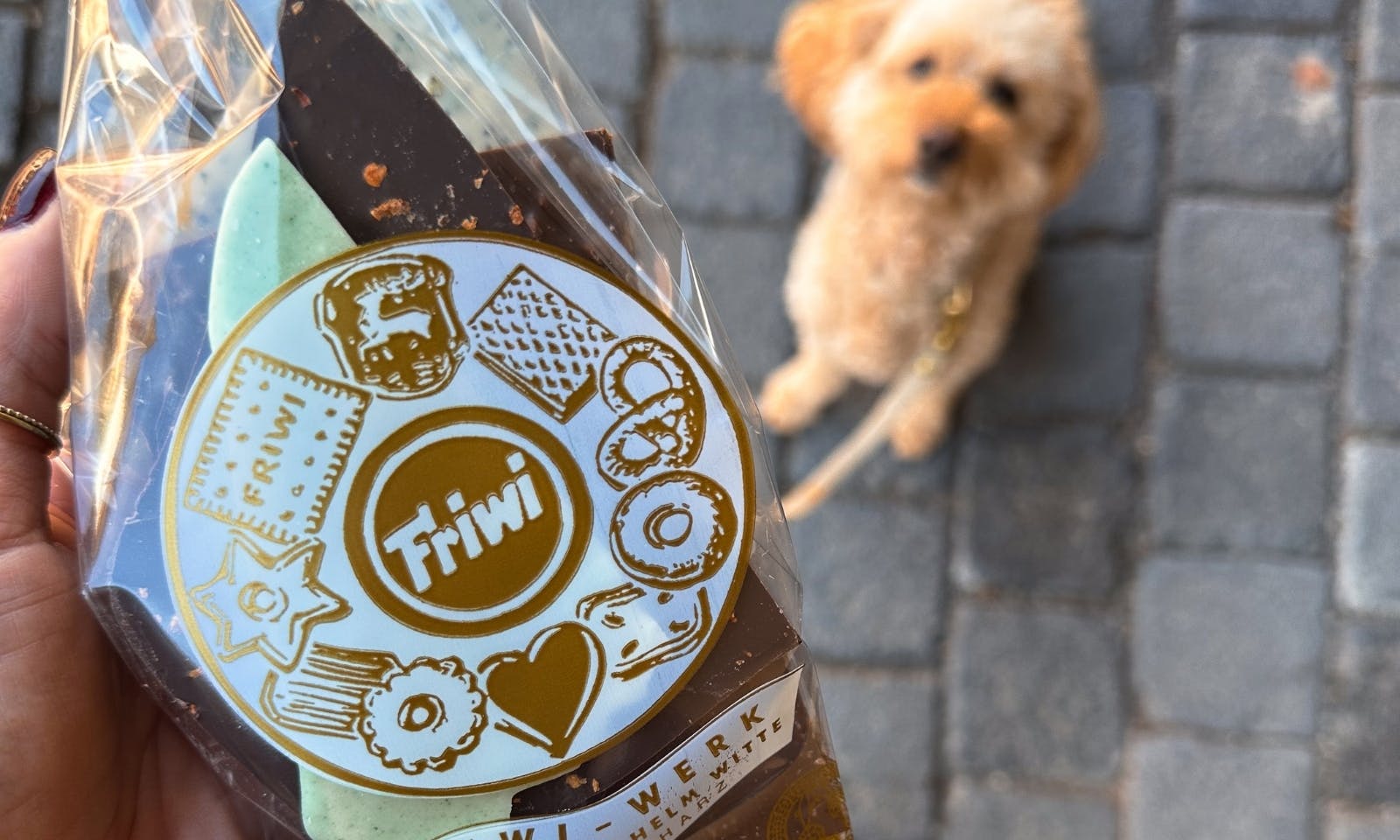 Ein Hund schaut auf eine Tüte voller Schokolade von Friwi