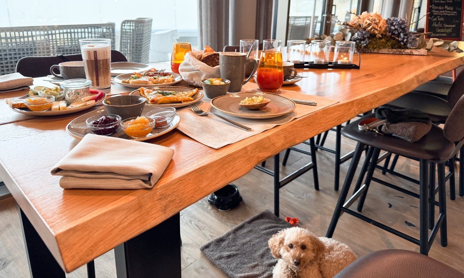 Hund auf einer Decke im Frühstücksbereich im Hotel & Spa Suiten FreiWerk in Stolberg