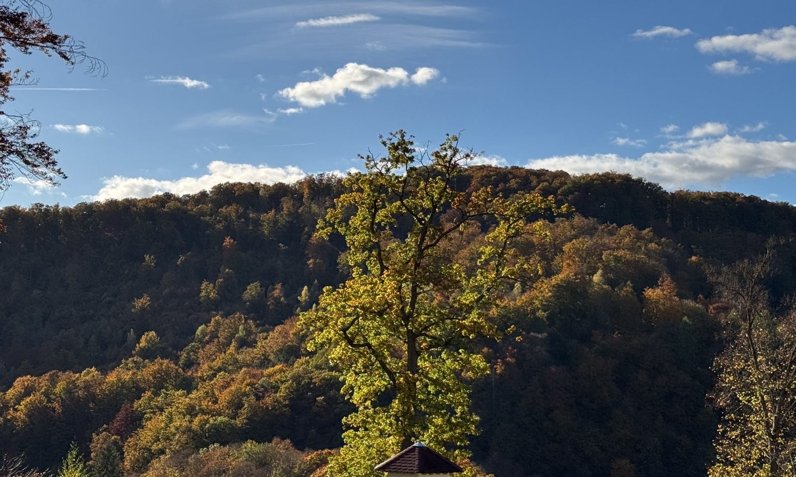 Blick auf einen Wald in der Nähe von Stolberg