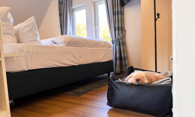Schlafbereich mit Hundebett eines der Zimmer im Hotel FreiWerk im Südharz