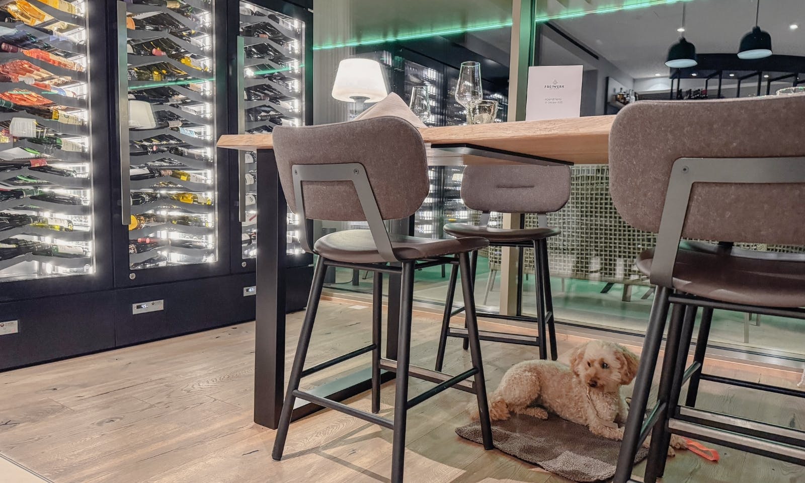 Hund liegt auf eine Decke unter einem Tisch des Restaurants im Hotel & Spa Suiten FreiWerk in Stolberg