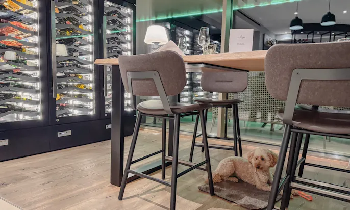 Hund liegt auf eine Decke unter einem Tisch des Restaurants im Hotel & Spa Suiten FreiWerk in Stolberg