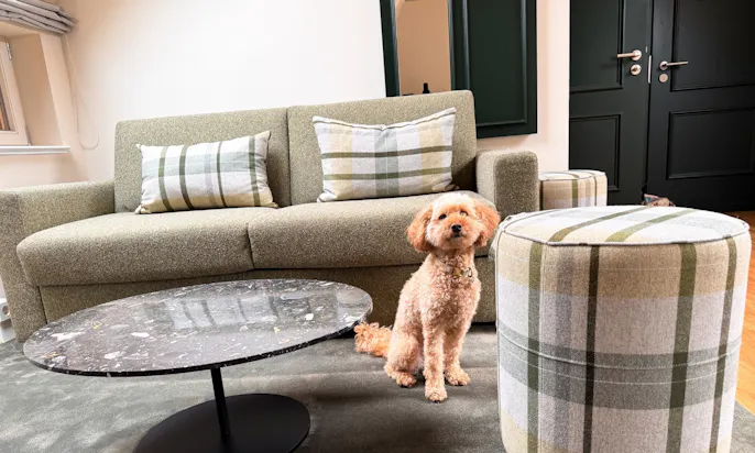 Wohnbereich mit Hund in einer Familiensuite des Hotel & Spa Suiten FreiWerk in Stolberg