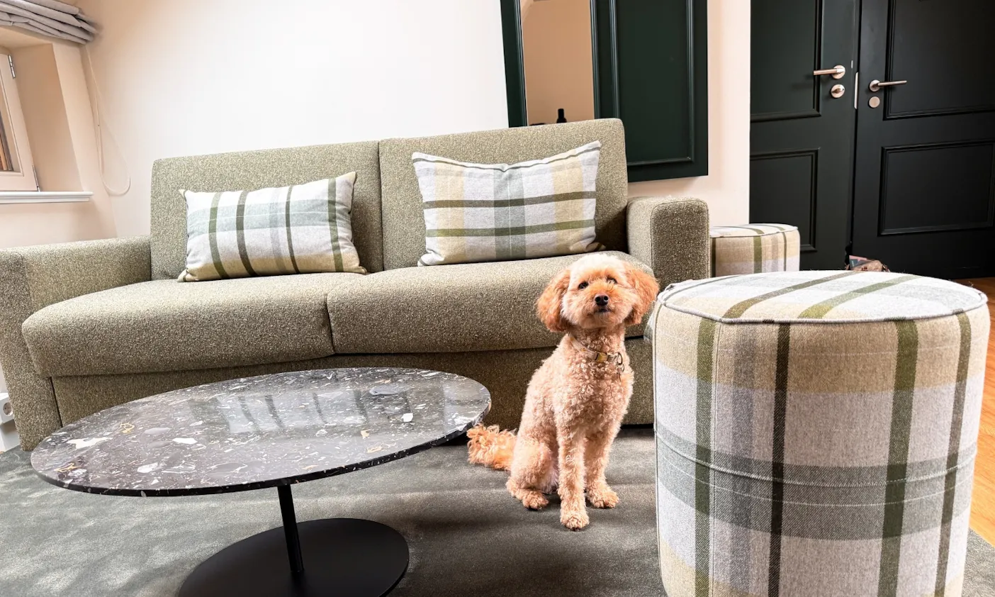 Hund sitzt im Wohnbereich einer Familiensuite des Hotel & Spa Suiten FreiWerk in Stolberg