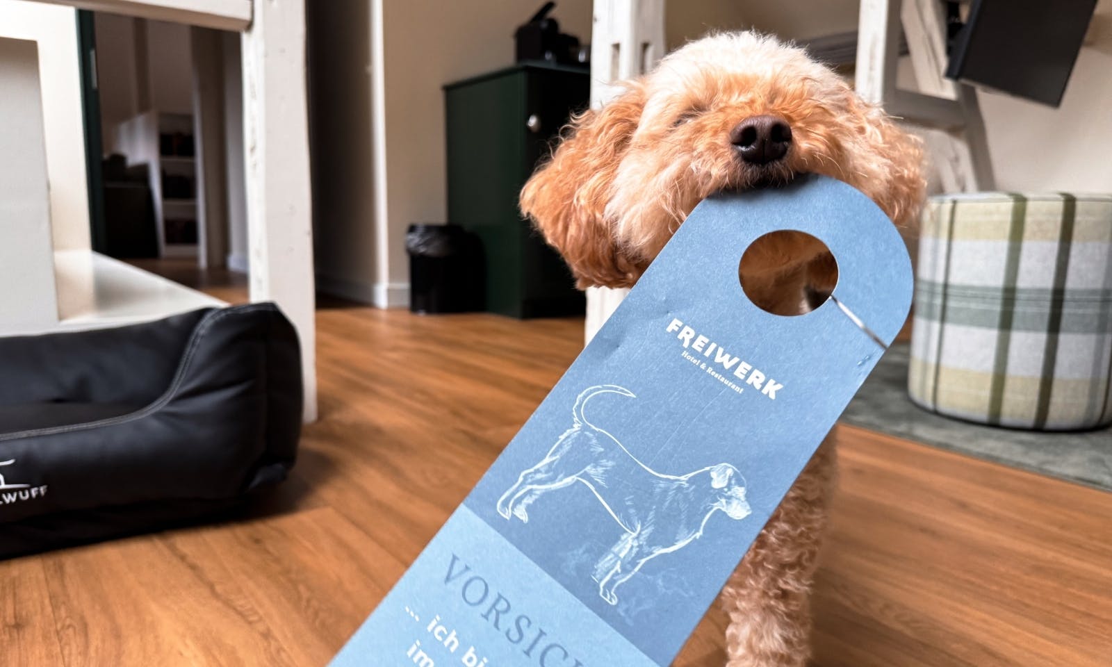 Hund, der ein bitte nicht stören Schild vom Hotel & Spa Suiten FreiWerk im Maul hat
