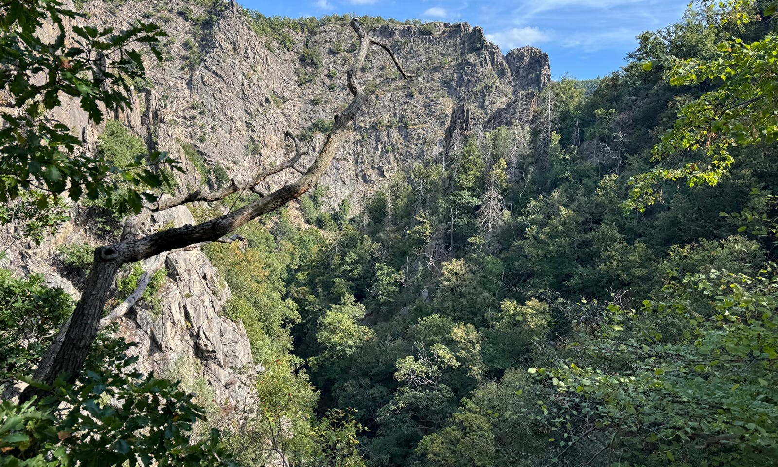 Blick auf die Berge im Bodetal