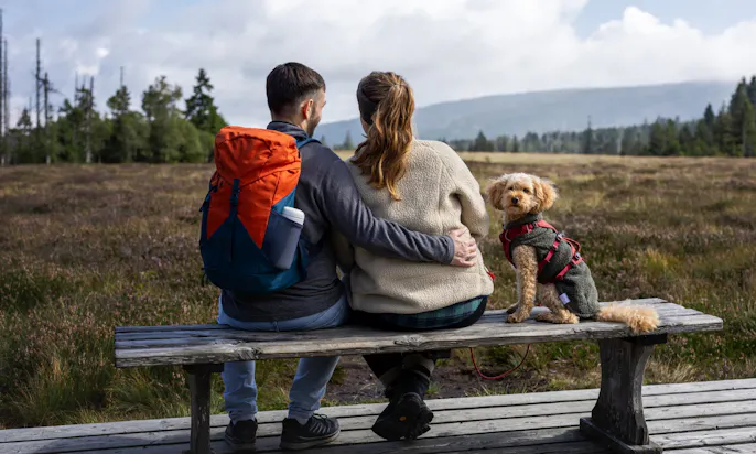 Ein Pärchen mit Hund sitzt auf einer Bank und blickt auf den Harzer Brocken