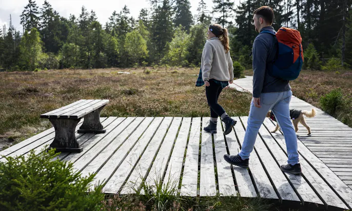 Ein Pärchen mit Hund steht vor einer Sitzbank