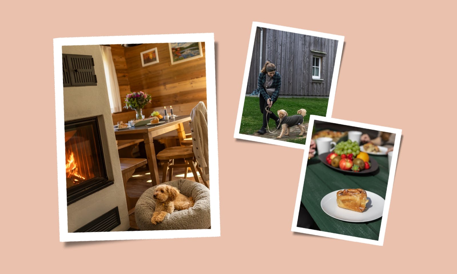 Collage über die Zeit mit deinem Hund im November