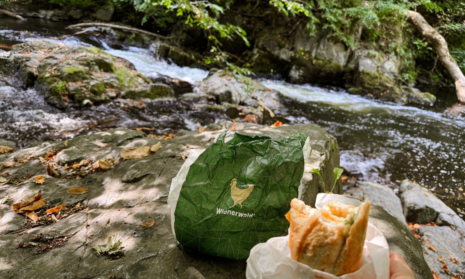 Picknick an der Bode