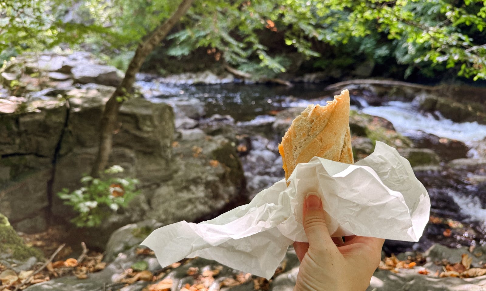 Picknick an der Bode