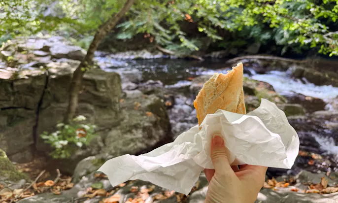 Picknick an der Bode