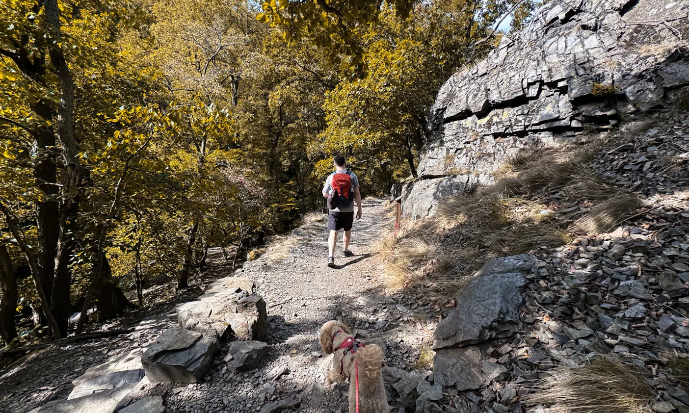 Mann mit Hund, die wandern