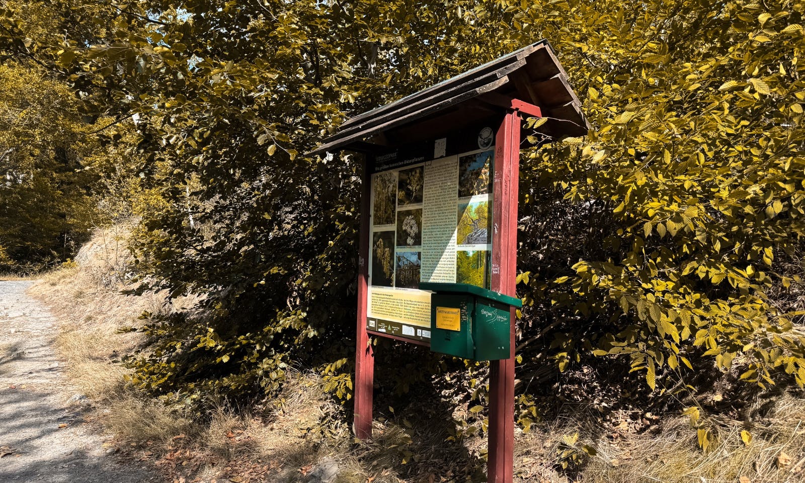 Stempelkasten im Harz