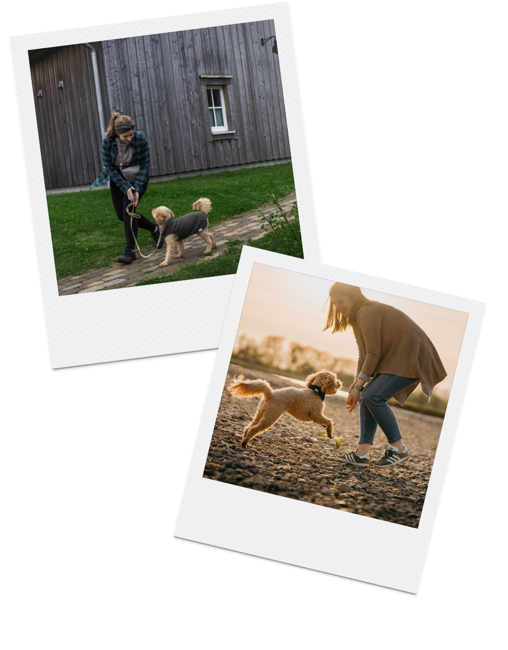 Collage über eine Frau mit ihrem Hund