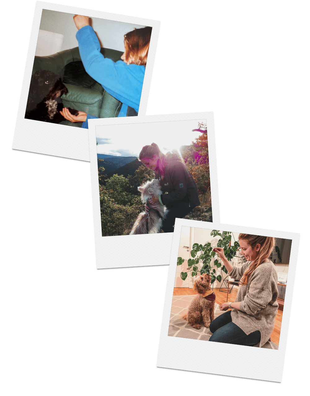 Collage über eine Frau und ihren Hunden