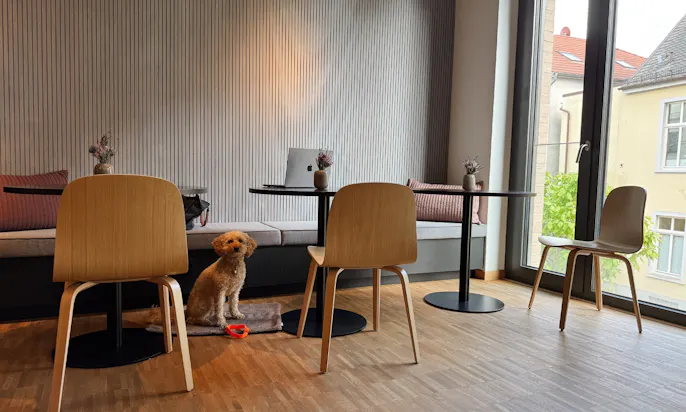 Hund im Restaurant