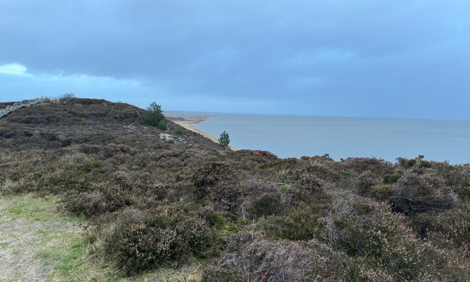 Blick auf die Braderuper Heide auf Sylt