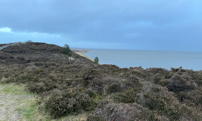 Blick auf die Braderuper Heide auf Sylt