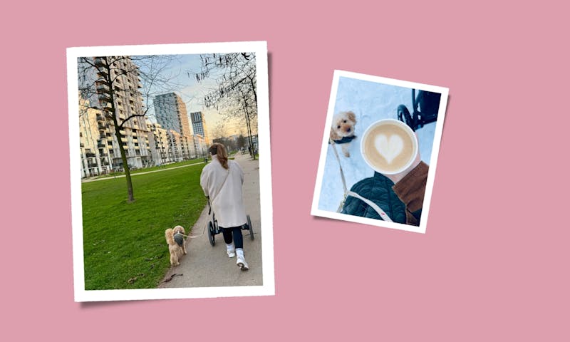 Frau mit Kinderwagen und Hund trinkt einen Kaffee