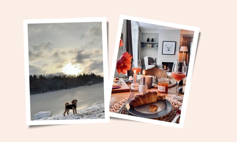Polaroid Collage mit Goldendoodle und Frühstückstisch im Forsthaus Gedöns