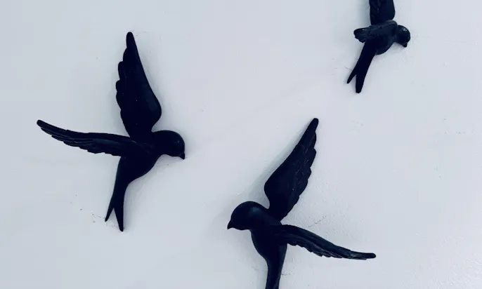 Wanddeko Vögel