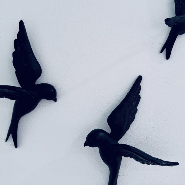 Drei Vögel als Wanddekoration