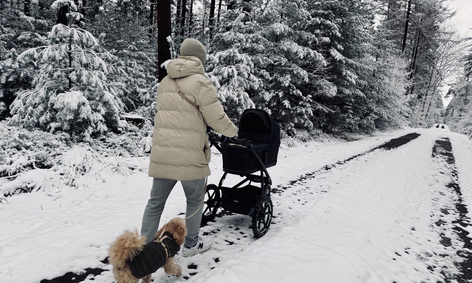 Mann spaziert mit Thule Sportkinderwagen und Pudel im Schnee im Wald