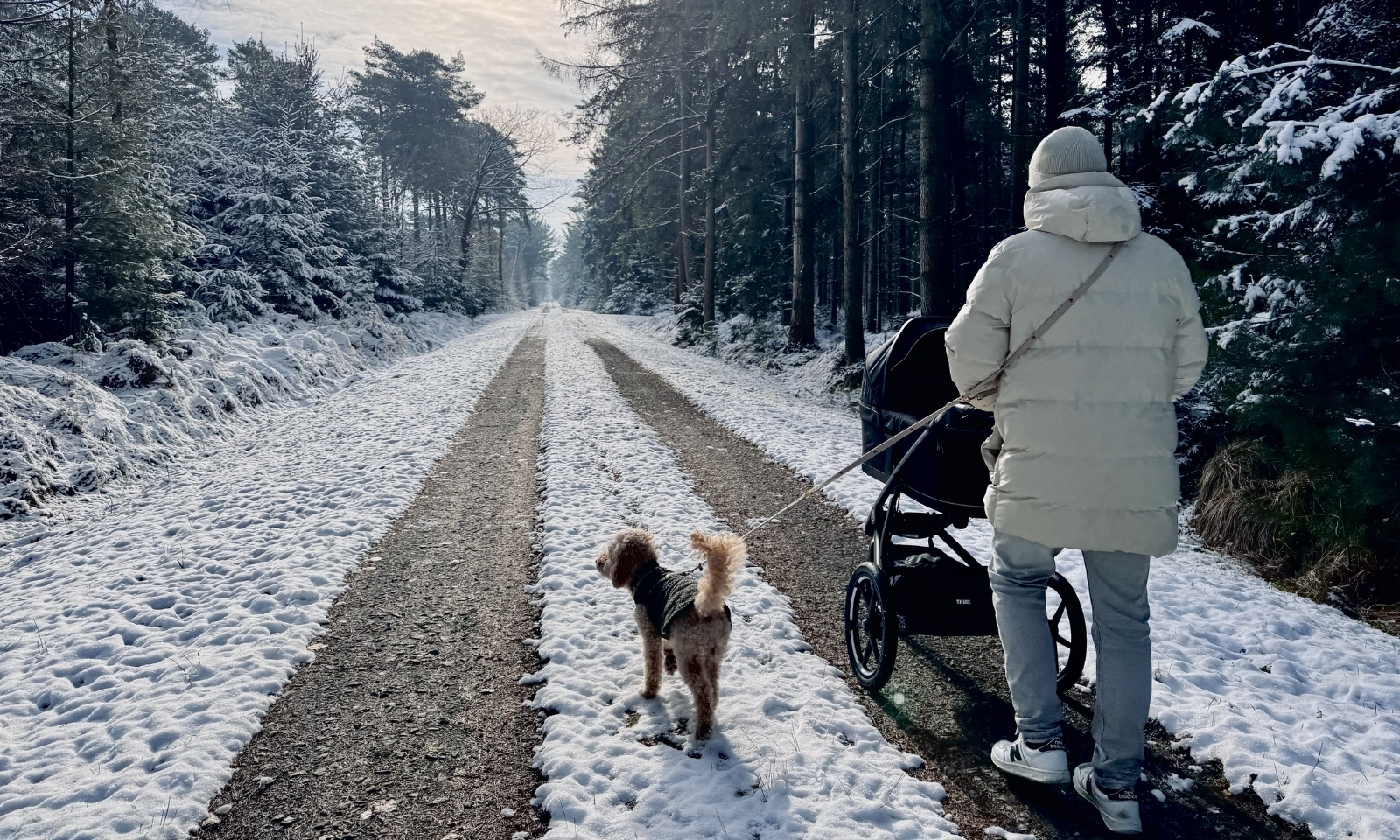 Mann spaziert mit Goldendoodle und Kinderwagen im Wald des Forsthaus Gedöns im Winter