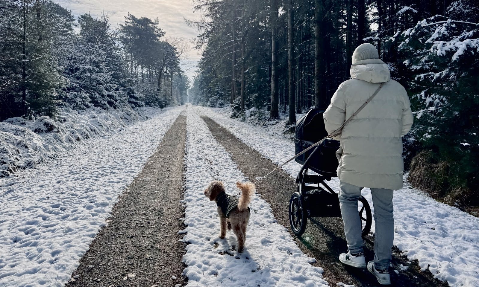 Mann spaziert mit Thule Sportkinderwagen und Pudel im Schnee im Wald