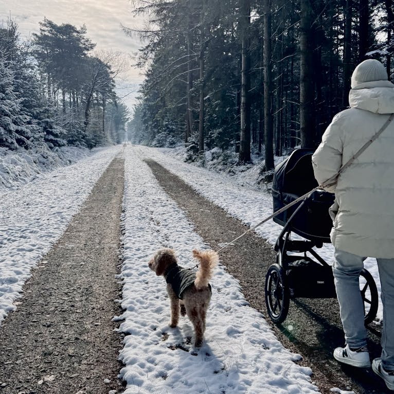 Mann spaziert mit Goldendoodle und Kinderwagen im Wald des Forsthaus Gedöns im Winter