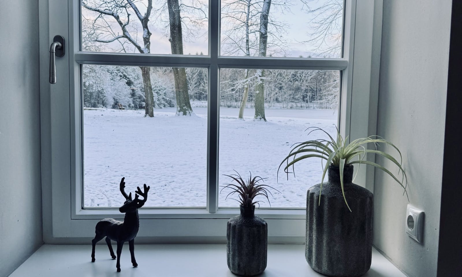 Ausblick von der Ferienwohnung Frydag auf den Badesee